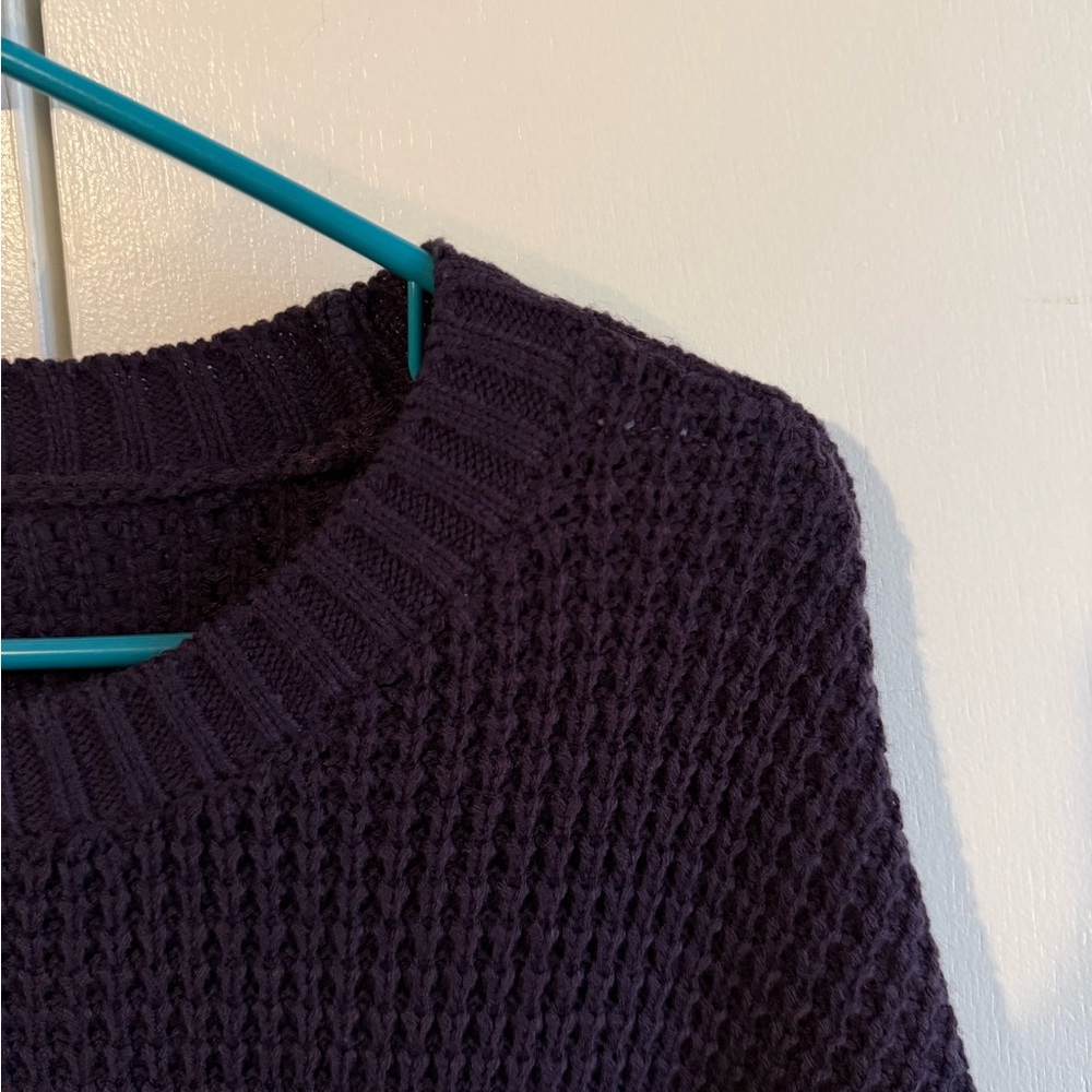 SO Plum Crew Neck Sweater